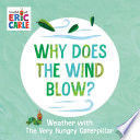 WHY DOES THE WIND BLOW?