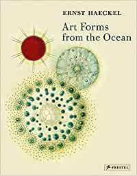 ART FORMS FROM THE OCEAN: THE RADIOALARIAN ATLAS OF 1862