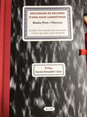 DICCIONARI DE RECORDS D'UNA XAVA GARROTXINA