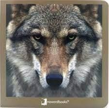 ANIMALS SALVATGES 02 12