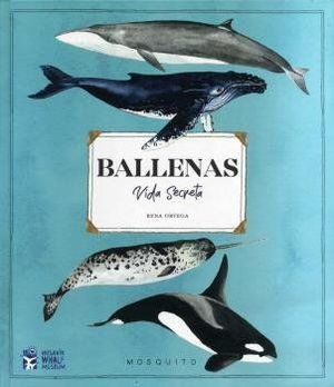BALENES VIDA SECRETA