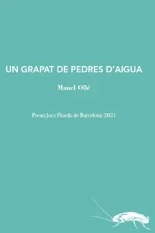 UN GRAPAT DE PEDRES D'AIGUA