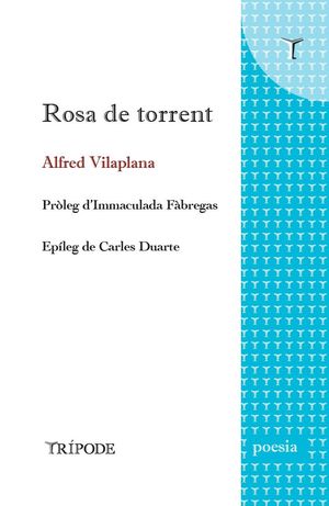 ROSA DE TORRENT