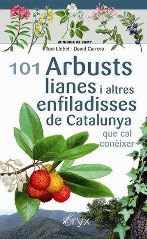 101 ARBUSTS, LIANES I ALTRES ENFILADISSES DE CATALUNYA