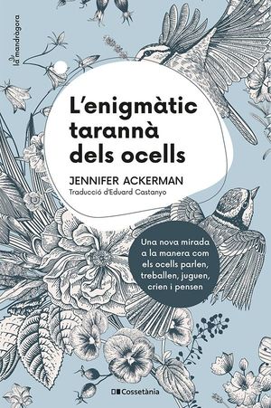 L'ENIGMÀTIC TARANNÀ DELS OCELLS