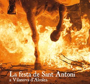 LA FESTA DE SANT ANTONI A VILANOVA D´ALCOLEA