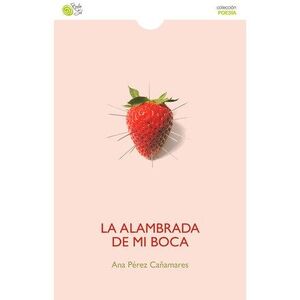 LA ALAMBRADA DE MI BOCA