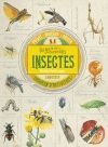 COL.LECCIÓ DE CURIOSITATS. INSECTES