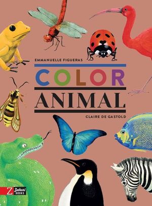 COLOR ANIMAL