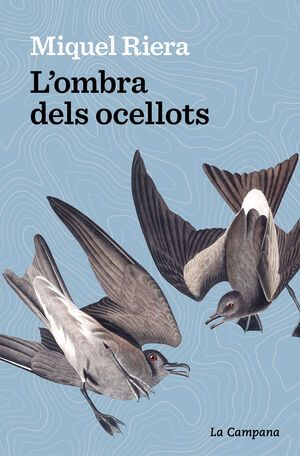 LOMBRA DELS OCELLOTS