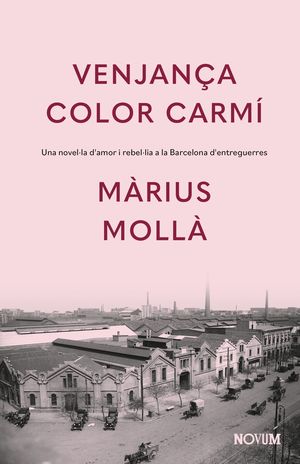 VENJANÇA COLOR CARMÍ