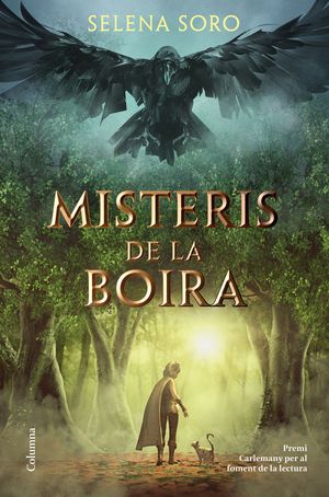 MISTERIS DE LA BOIRA I