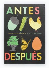 ANTES DESPUES