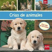 CRIAS DE ANIMALES