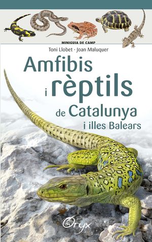 AMFIBIS I RÈPTILS DE CATALUNYA