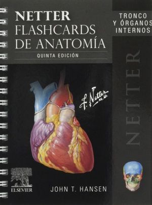NETTER FLASHCARDS DE ANATOMIA TRONCO Y ORGANOS INTERNOS
