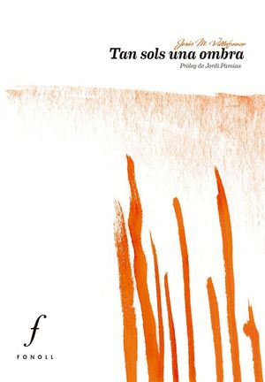 VESTIGIS, MÈMORIES I SÍMBOLS A LES COMARQUES DE LLEIDA