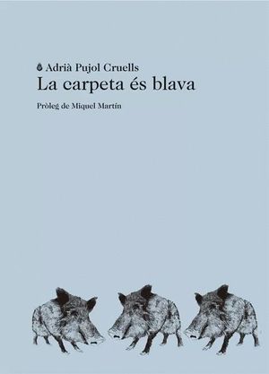 LA CARPETA ÉS BLAVA