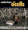 ENDEVINEU ELS OCELLS