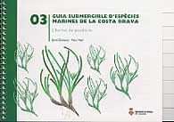 GUIA SUBMERGIBLE ESPEC.MARINES-3