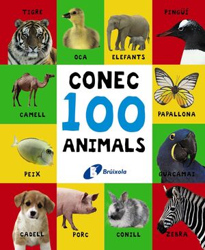 CONEC 100 ANIMALS