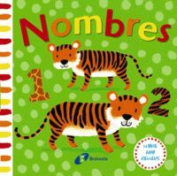 LLIBRE AMB RELLEUS. NOMBRES