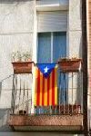 ESTELADA RÍGIDA EXTRA GRAN 4 ULLETS TALLA XL