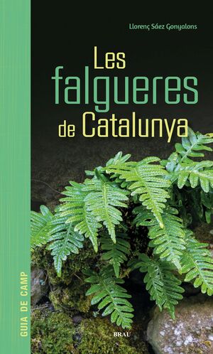 LES FALGUERES DE CATALUNYA