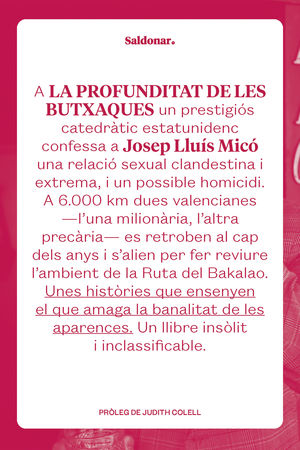La profunditat de les butxaques de Josep Lluís Micó